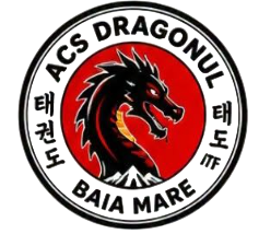 ACS Dragonul Baia Mare